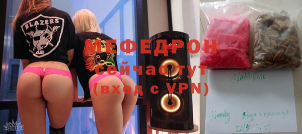 мдпв Елабуга