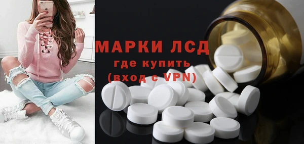 мдпв Елабуга