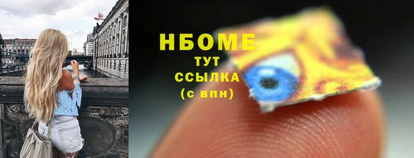 мдпв Елабуга