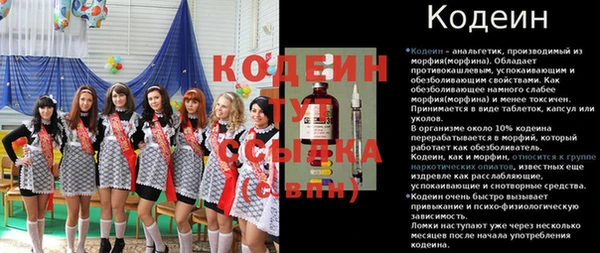 мдпв Елабуга