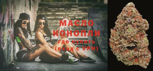 мдпв Елабуга