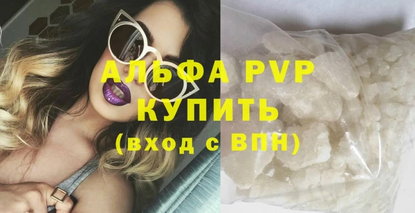 мдпв Елабуга