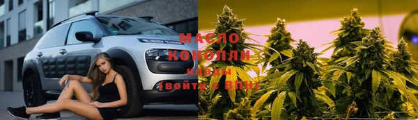мдпв Елабуга