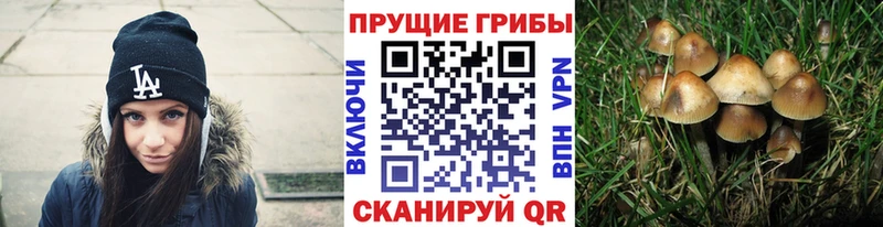 Псилоцибиновые грибы Magic Shrooms  Коломна 